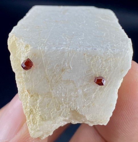 Gram natural beautiful red - gram,
