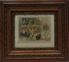 Antique 1905 Chromolithograph “Our Bantams” + Ornate Carved Oak Frame