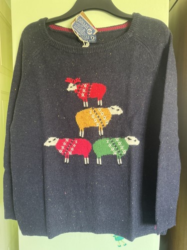 Bnwt joules men - bnwt, men’s