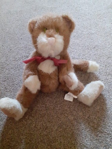 Boyd collection cat retired - cat,