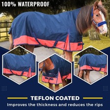 600 Denier Lite Horse Turnout