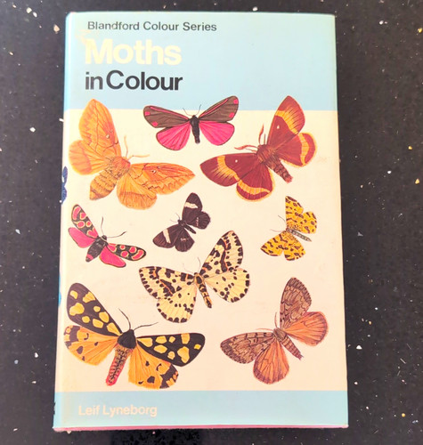 Blandford colour series moths - blandford,