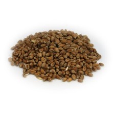 Youngs Whole Wheat 500g –