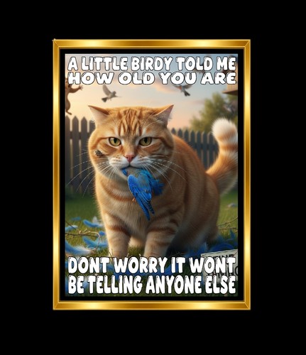 Birthday card funny rude joke - birthday,