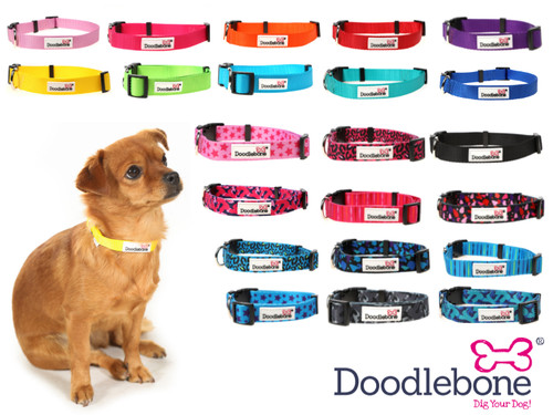 Doodlebone bold nylon dog - nylon,