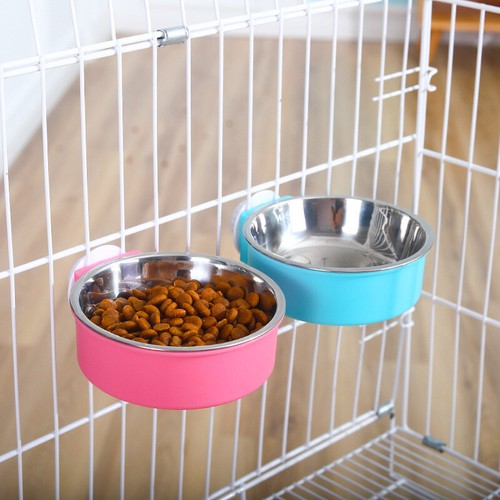 Pet dog puppy cat - dog,