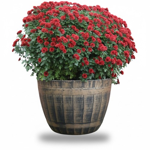 Large gold barrel planter - large,