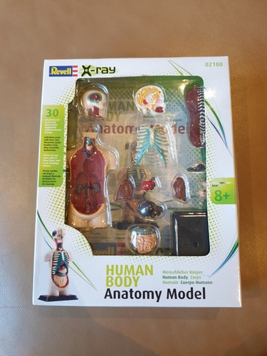 Revell ray 2011 - x-ray,