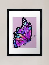 Ornithoptera alexandrae