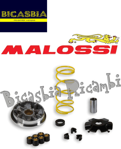 5621 malossi variator - 5621, 50