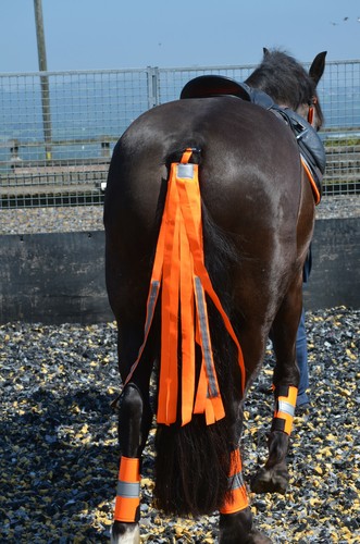 Viz orange tail - tail, streamers