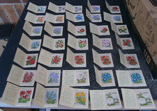 Kensita silk flowers series - kensita,