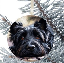 Scottish Terrier Dog Hanging