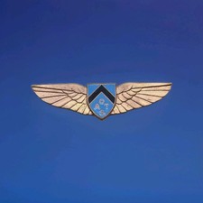 WW2 RAF Royal Air Force Enamel