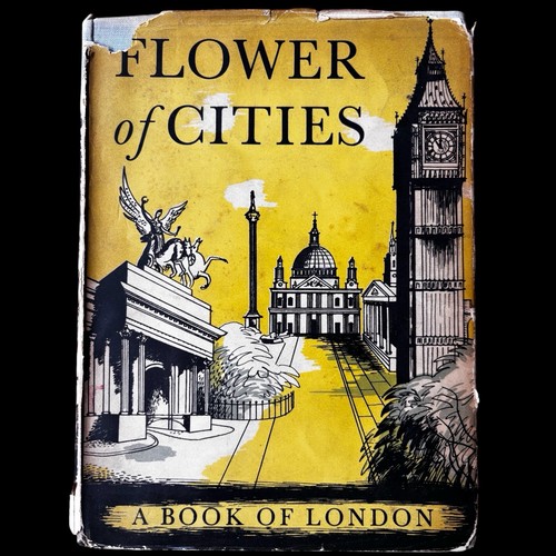 Barbara jones flower - barbara,