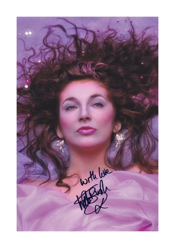 Kate bush reproduction - bush, a4