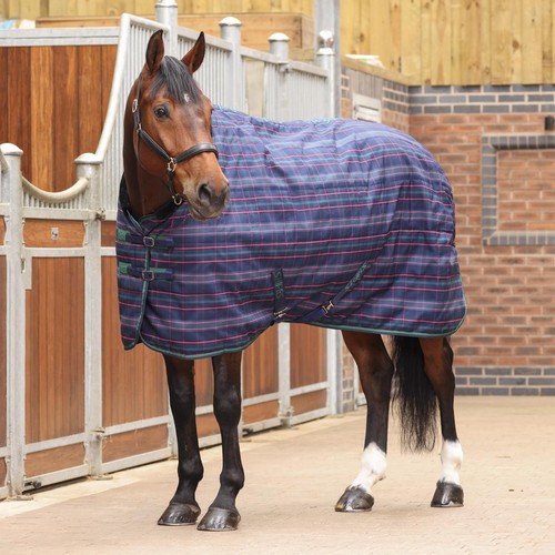 Shires tempest plus - tempest,