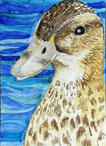 Aceo original watercolour - aceo,