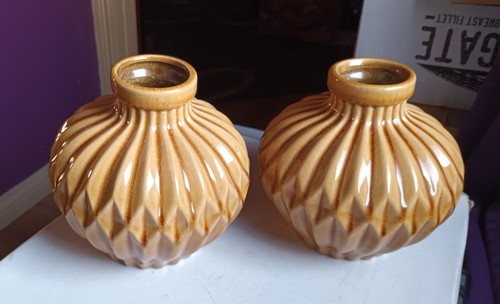 Pair ochre vases fern - vases,