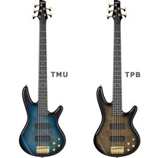 Gio Ibanez GSR205PC 5-string