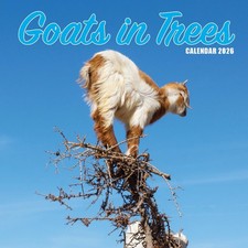 Goats in Trees 2026 Calendar