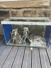 Large Glass Fish Tank 