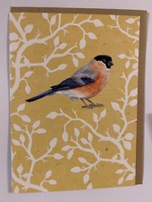 Beautiful Bullfinch Greetings