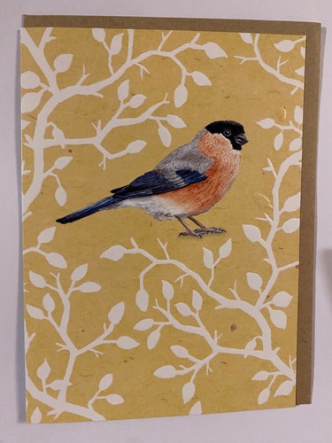 Beautiful bullfinch greetings - bullfinch,