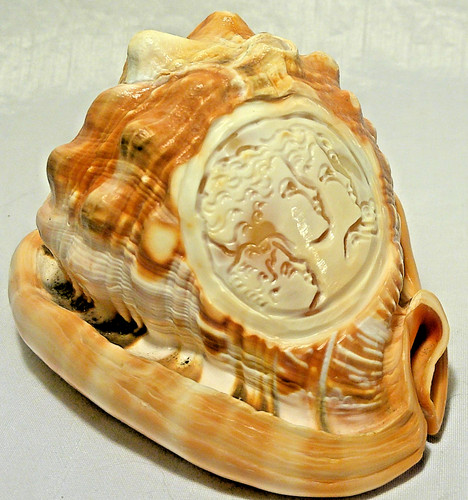 Vintage cameo carved conche - vintage,