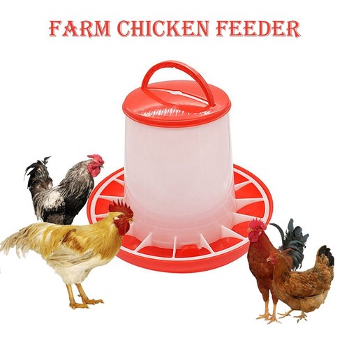 Chicken poultry feeder drinker - poultry,