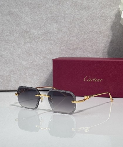Cartier décor panthère rare - panthère,
