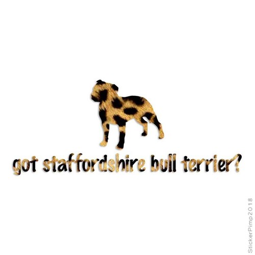 Got staffordshire terrier - got,