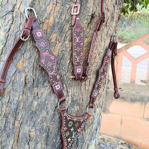 Premium horse show - horse, saddle