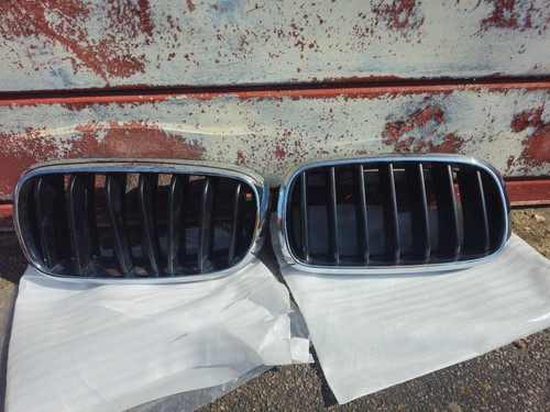 Bmw front kidney - x5, (f15)
