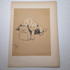 Original 1904 Antique Dog