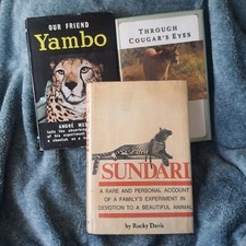 Lot Of 3 Big Cat Domesticated