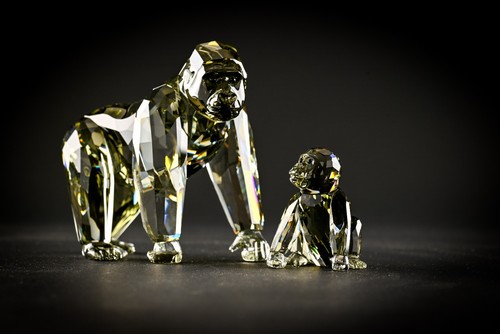 Swarovski scs annual - scs,