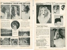 COLLIE & SHETLAND SHEEPDOG 2 PAGE MARIEMEAU KENNEL 1941 DOG ADVERT PAGE b220