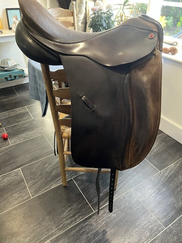 Albion legend 5000 dressage - legend,