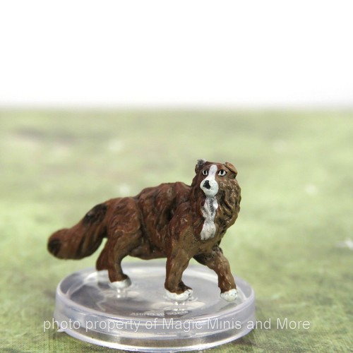 Wild shape polymorph cat 4 - shape,
