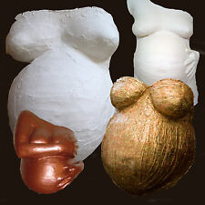  Plaster Body Casting kit.Pregnant Belly Mould Cast with Bronze Paint