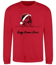 TIBETAN SPANIEL Personalised Christmas Dog Sweatshirt Adults Kids Jumper Xmas