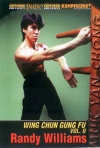 Wing chun wooden dummy - wooden,
