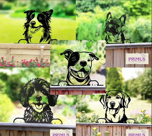 Metal peeking dog pet - peeking,