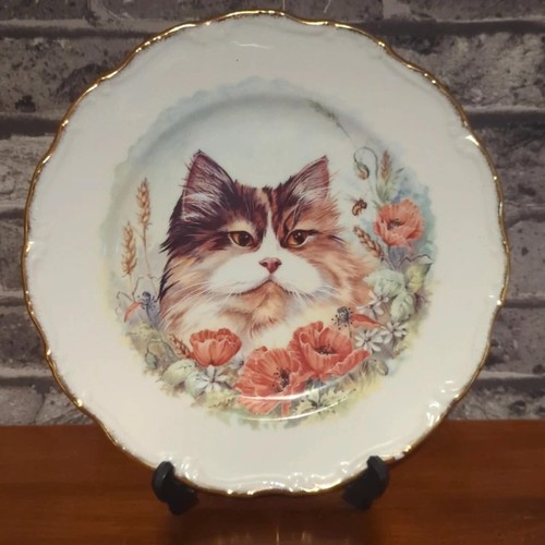 Royal vale bone china cat - vale,
