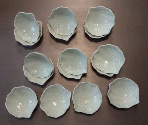 Pack small shell ceramic - 16,