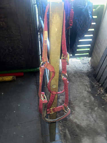Pink nylon horse - nylon,