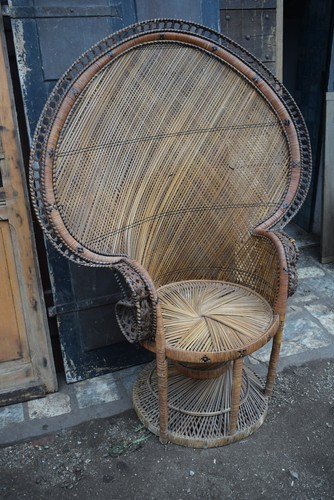 Emmanuelle peacock - peacock,