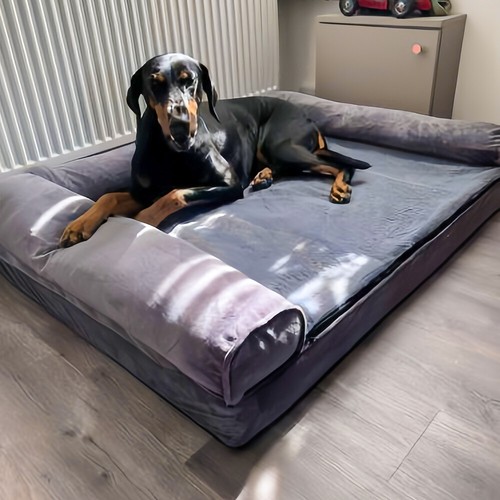 Xxl orthopedic dog - orthopedic,