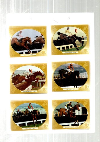 Horse racing s - horse, cards